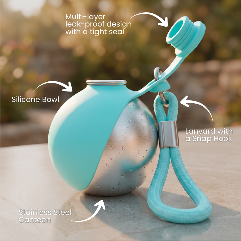 Aqua Blue Travel Cup features - silicone bowl, stainless steel canteen, leak-proof lid, lanyard with snap hook
