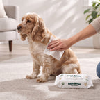 Fetch & Fuzz pet wipes by the door