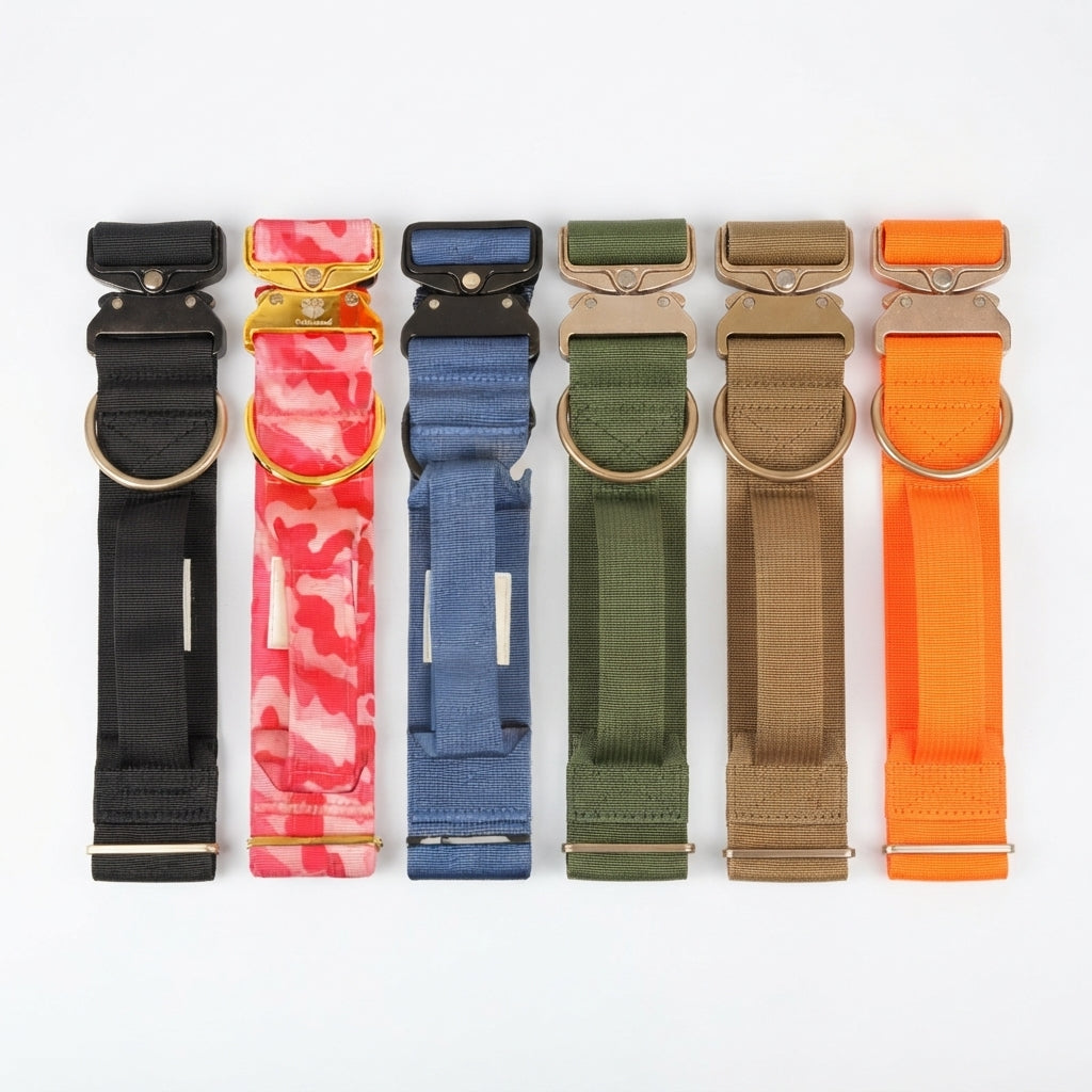 Tactical dog collar buckles compared across six colours