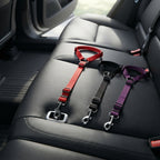 Dog car safety tethers looped over car headrests