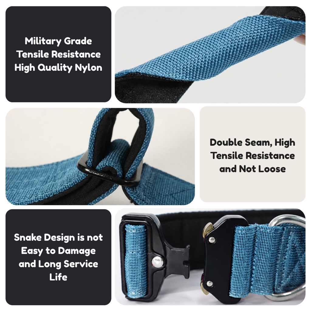 Tactical dog collar construction detail: military grade nylon, double seam and snake-design buckle