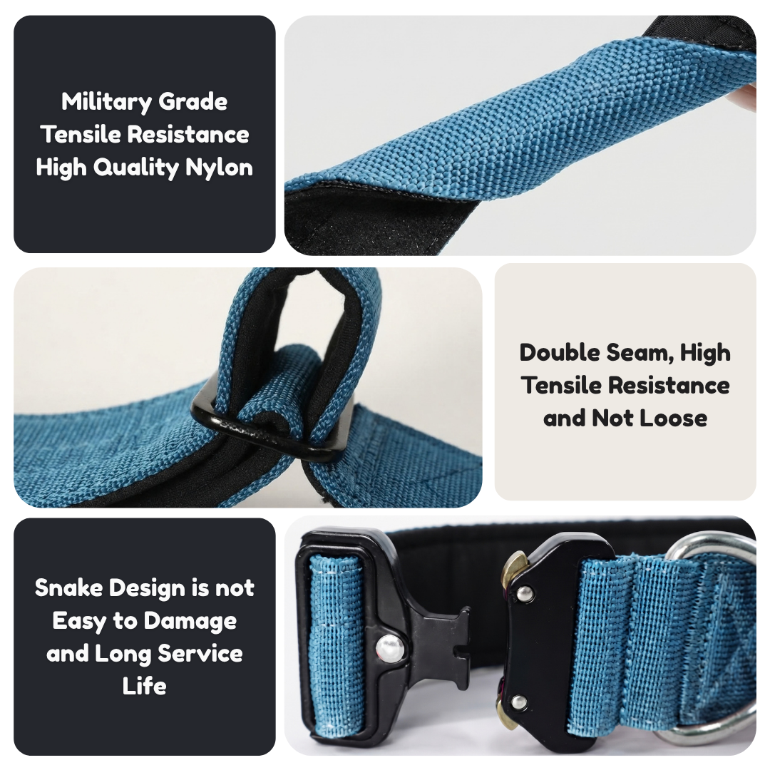 Tactical dog collar construction detail: military grade nylon, double seam and snake-design buckle