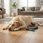 Pet hair scraper lifting embedded hair from carpet