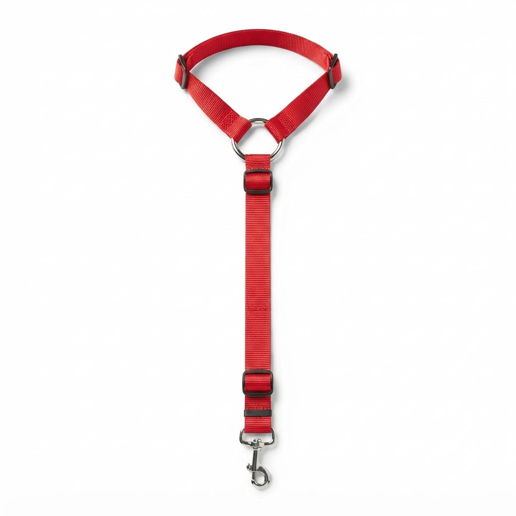 Fetch & Fuzz dog car safety tether in red, adjustable with snap hook