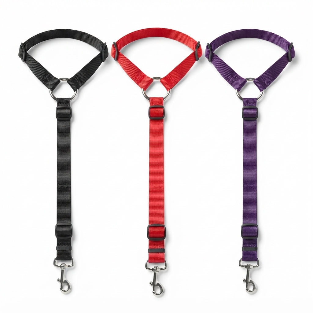 Dog car safety tether shown in black, red and purple