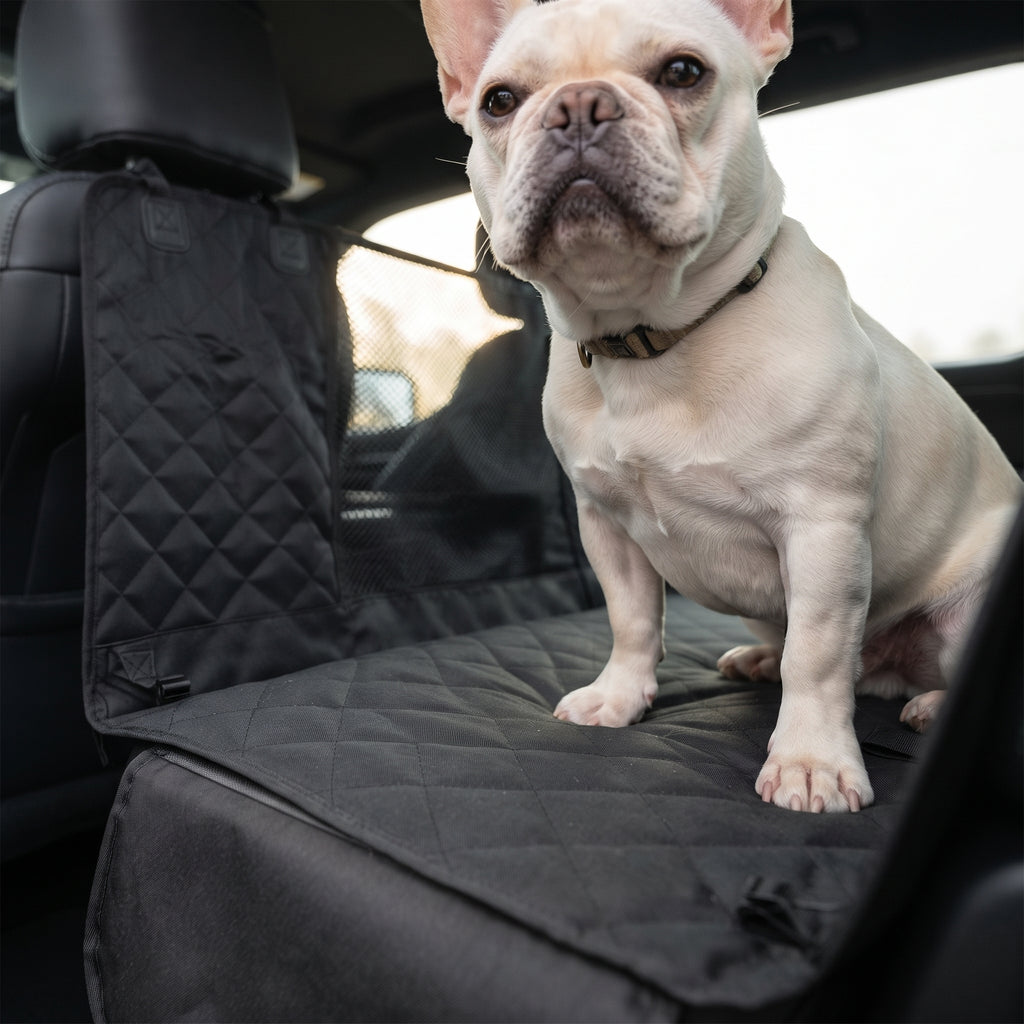 Close view of the quilted surface with a dog sitting on it
