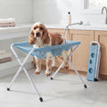 Cocker spaniel standing on the Fetch & Fuzz Shower Stand in a bathroom, folded stand beside it