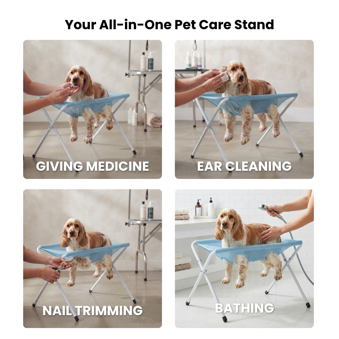 An all-in-one pet care stand for giving medicine, ear cleaning, nail trimming and bathing