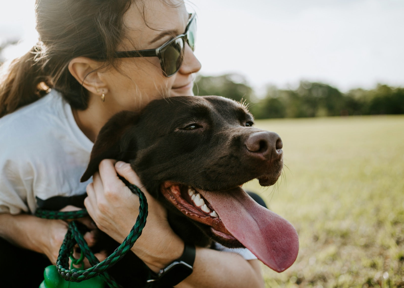 A dog and their owner outdoors